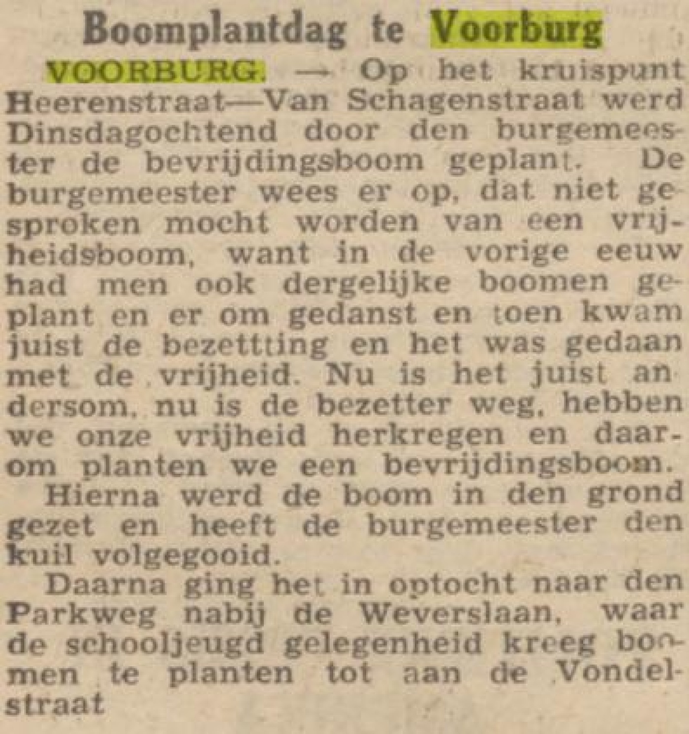 1946 februari Trouw_14-2-1946_Bevrijdingsboom_geplant.jpg