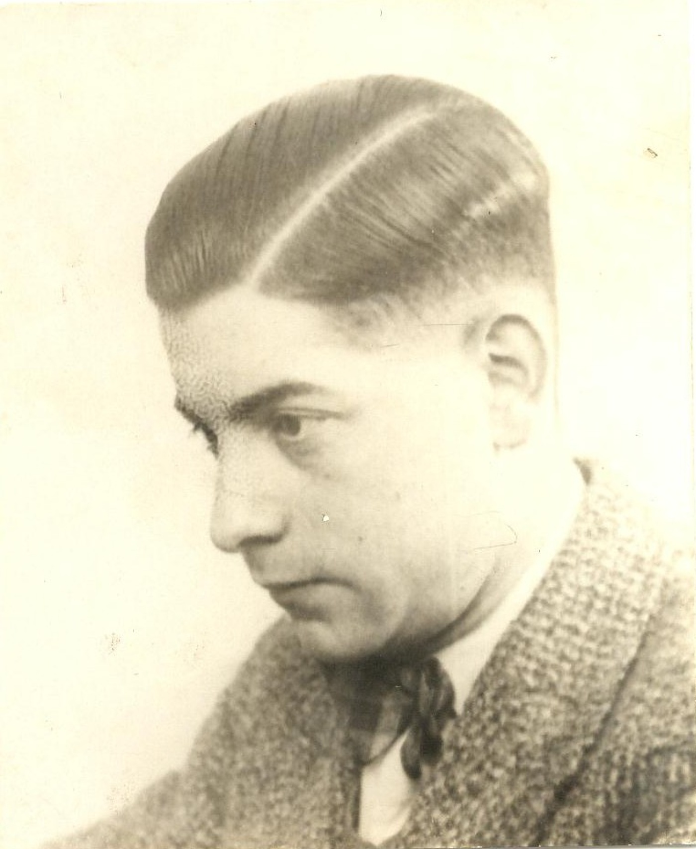 Adelaar_Willie - kopie.jpg Adelaar_Willie - kopie.jpg