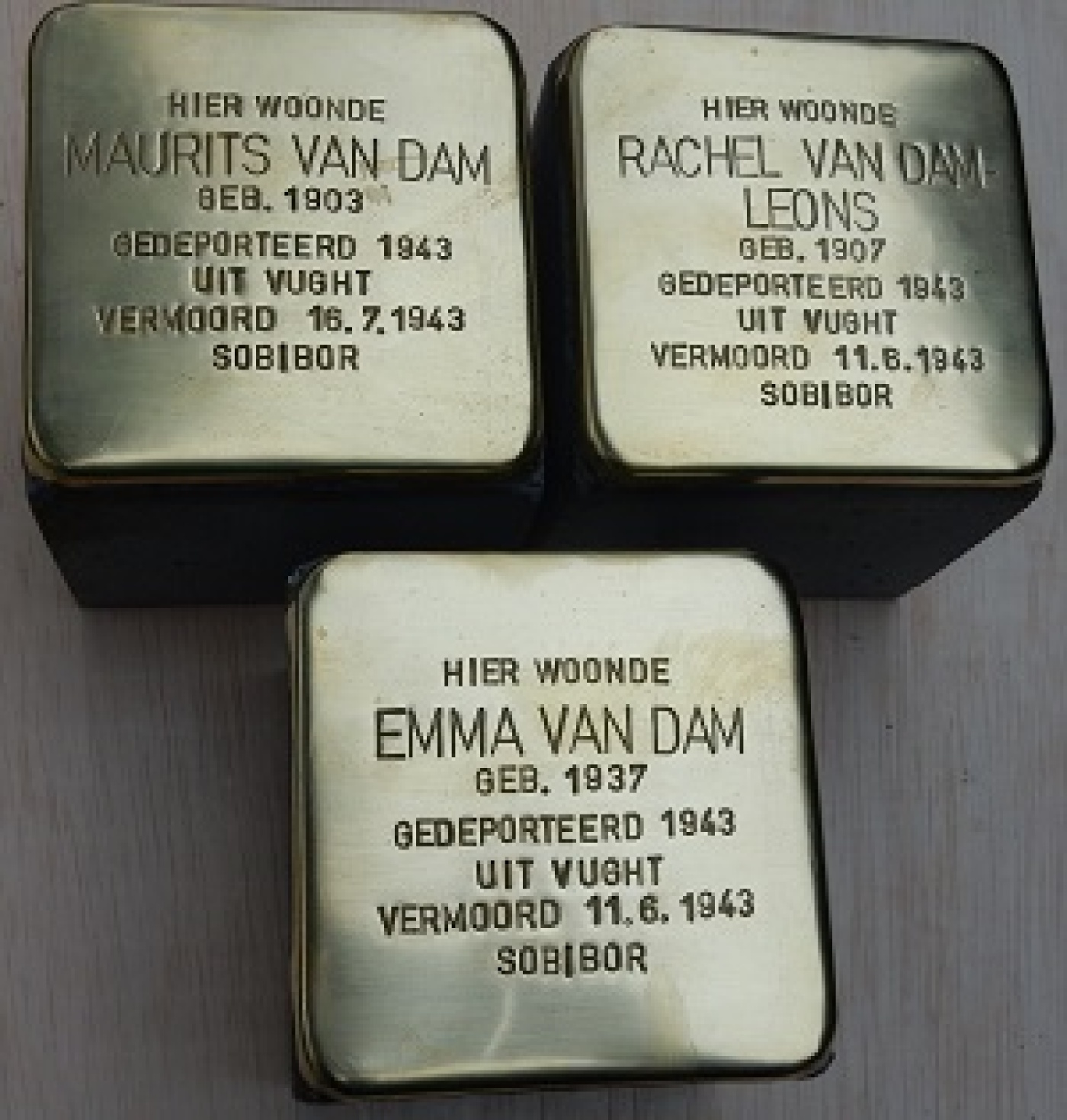 Dam_van_1.jpg