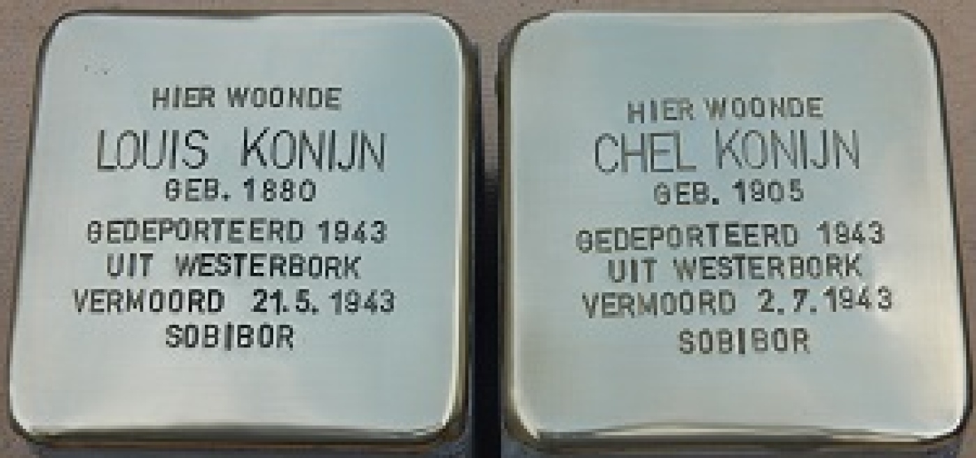 Konijn_1.jpg