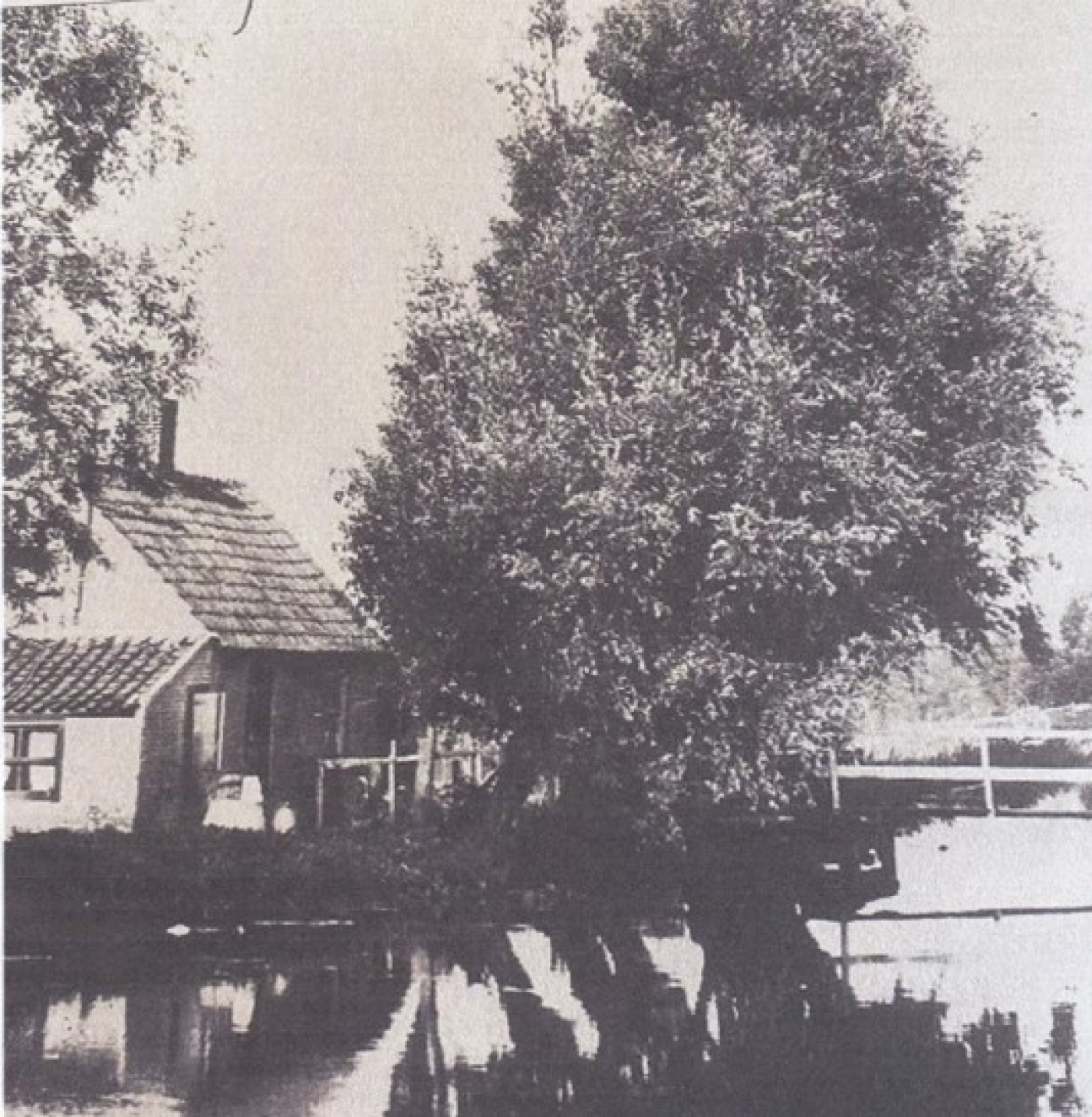 MariaCohenHuisje1.jpg MariaCohenHuisje1.jpg