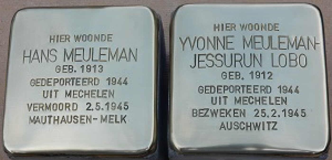 Meuleman_1.jpg