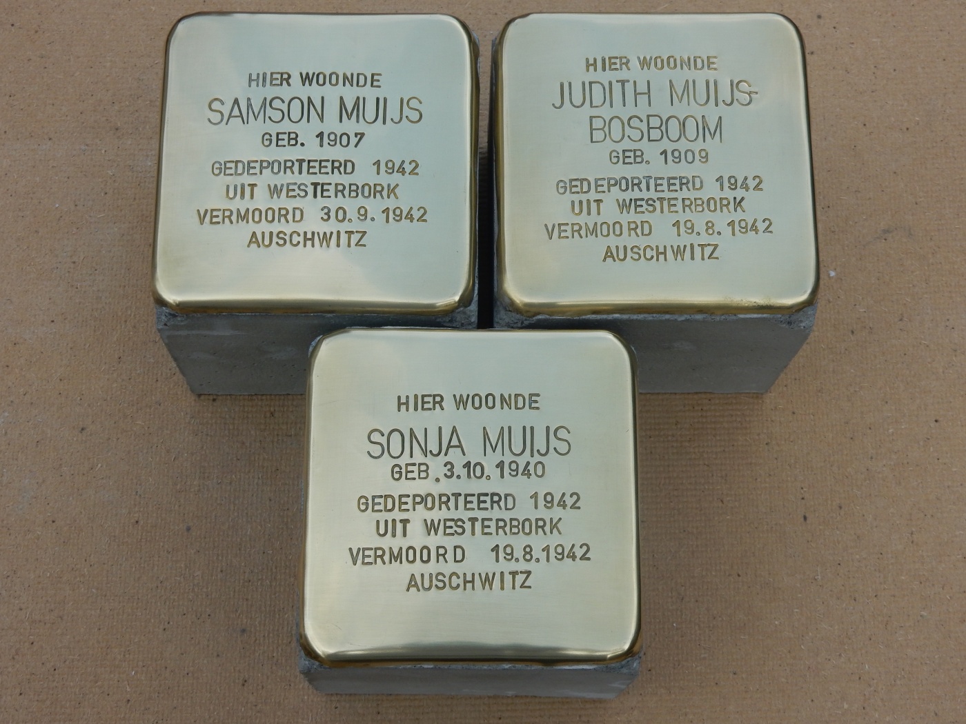 Muijs fam-Stolperstein.JPG