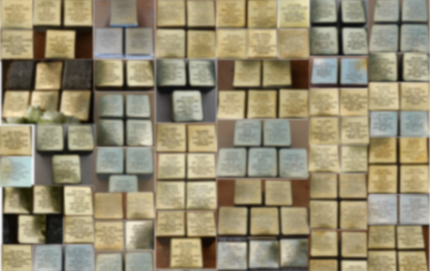 StolpersteineVerzameling.png