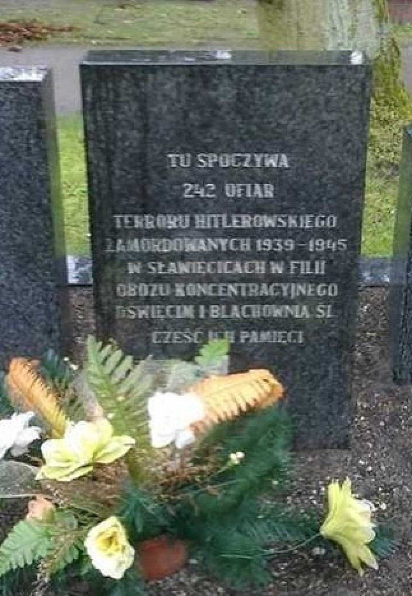 VanHessen-Frits-Graf.jpg VanHessen-Frits-Graf.jpg