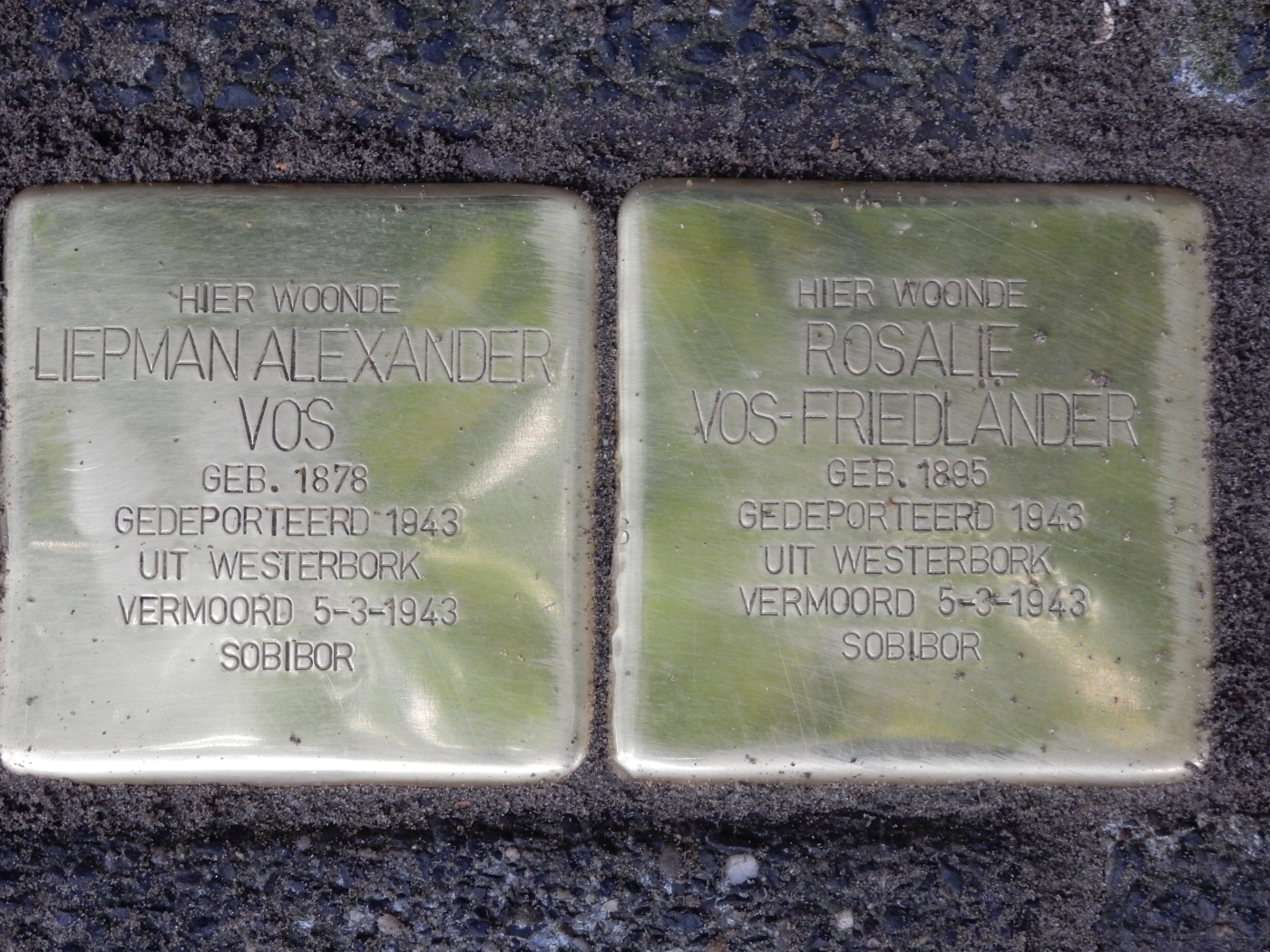 Vos-Friedländer-Stolperstein.JPG